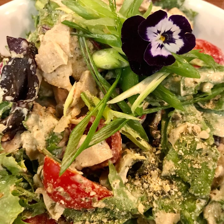 photo of Unity Diner Chikken Caesar Salad shared by @bereers on  15 Dec 2020 - review