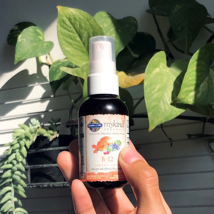 photo of Mykind Organics B12 en spray shared by @xallita on  03 Jan 2021 - review