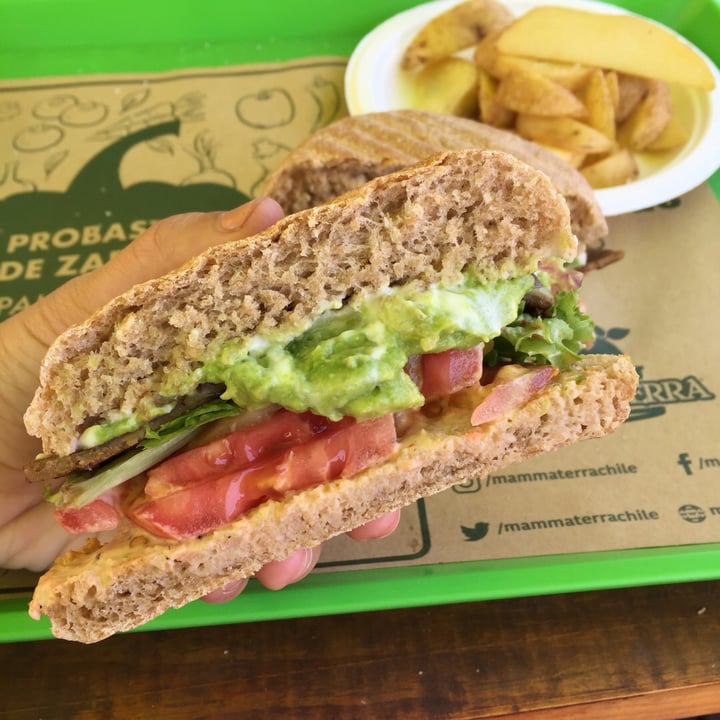 review photo of MAMMATERRA Hamburguesa Seitán Alemana shared by @cata-arancibias on 20 Jun 2019 - review