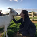 whiterabbit8 @whiterabbit8 profile image