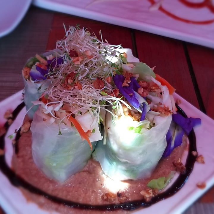 review photo of Alive! Restaurant Salad rolls shared by @187nat on 16 Jul 2020 - review