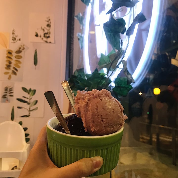 photo of WellSmoocht 2 Scoops (Rich Dark Chocolate and Strawberry Ice Cream) shared by @qwtho on  01 Mar 2021 - review