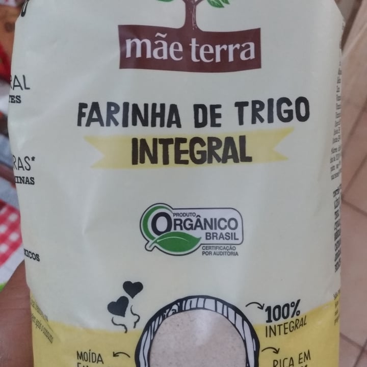 photo of Mãe Terra Farinha de trigo integral shared by @jessilobato on  28 Dec 2021 - review