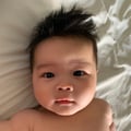 maryleeopard @maryleeopard profile image