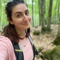 lara96 @lara96 profile image