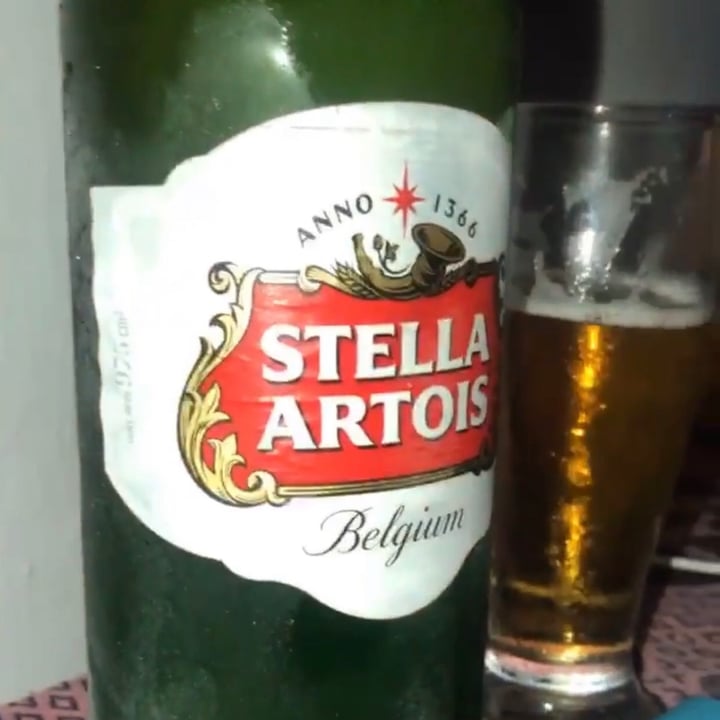photo of Stella Artois Cerveza shared by @candevegg on  17 Feb 2021 - review