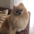 analuciaa @analuciaa profile image
