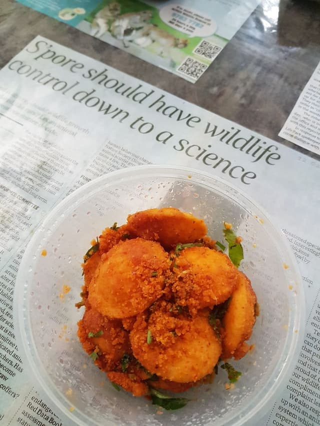 Photo of the dish “Podi idly”