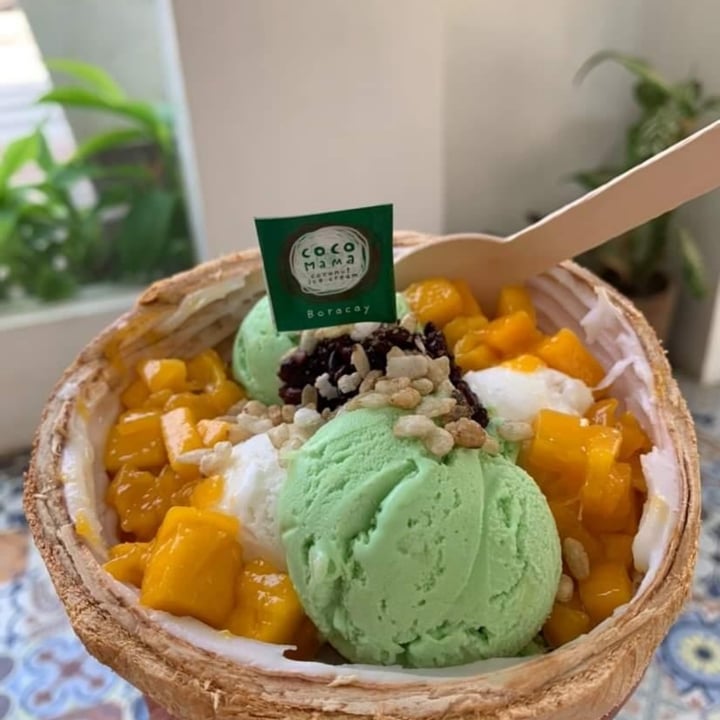 photo of Coco Mama Pandan Coconut Ice Cream shared by @teamaldous on  23 Sep 2022 - review