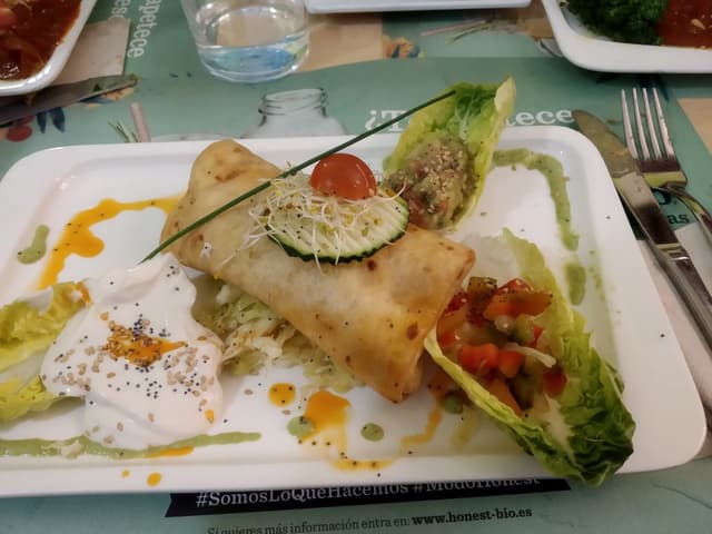 Photo of the dish “Rollito Mexicano”