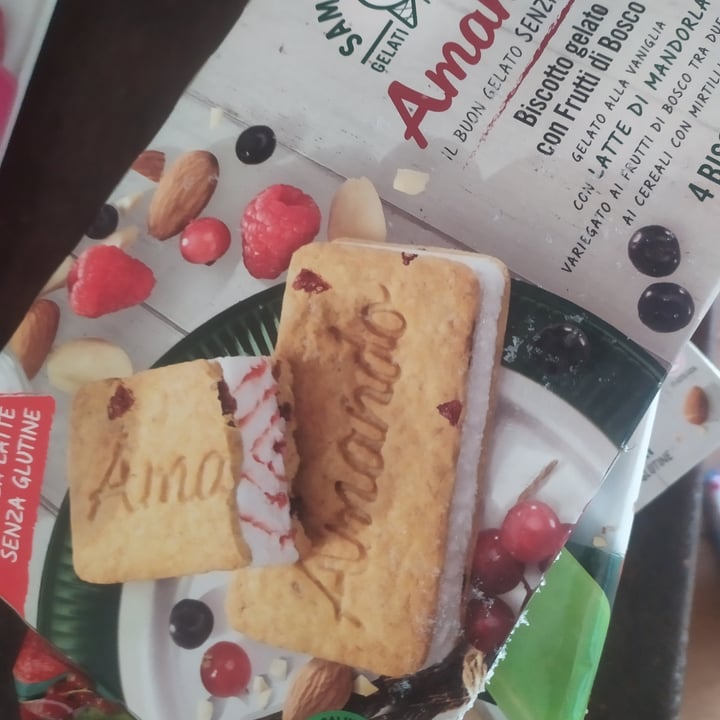 review photo of Sammontana Biscotto gelato Amando frutti rossi shared by @marti94 on 03 Jul 2022 - review