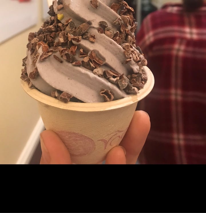 review photo of Yoga-urt Ice Cream shared by @govegan161616 on 24 Apr 2020 - review