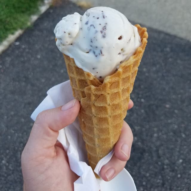 Photo of the dish “Mint Chip Ice Cream”