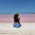 sheylacabral @sheylacabral profile image