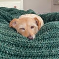 audreybailey @audreybailey profile image
