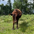 isiscussel @isiscussel profile image