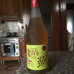 Folicello