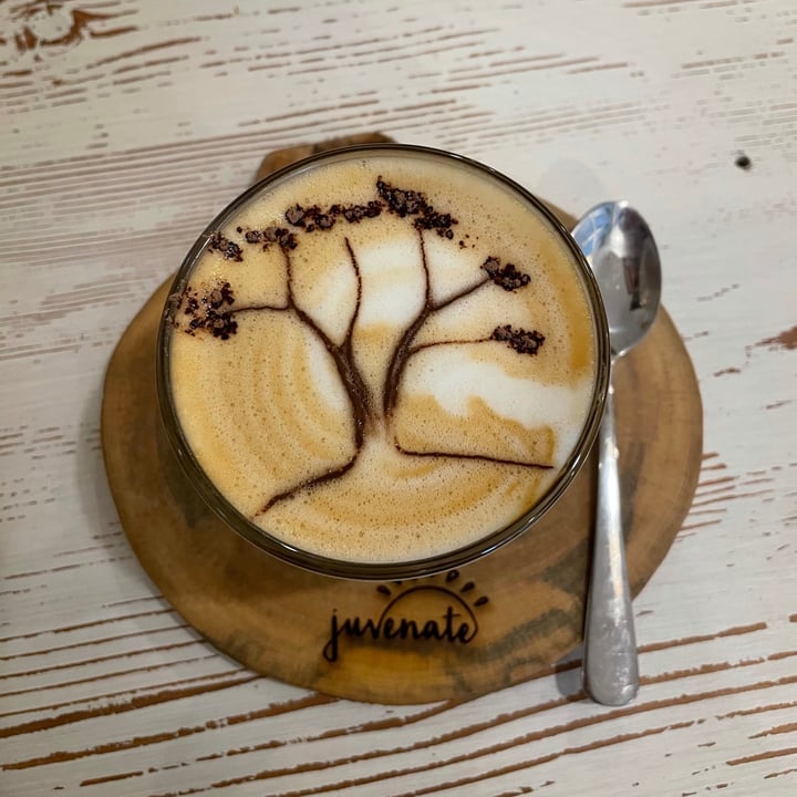 photo of Juvenate Cappuccino With Almond Milk shared by @thehumblechickpea on  09 Jun 2021 - review