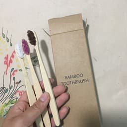Bamboo