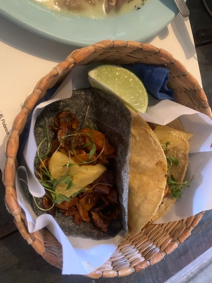 photo of Forever Vegano Tacos al pastor shared by @apaulapimentel on  27 Jan 2020 - review