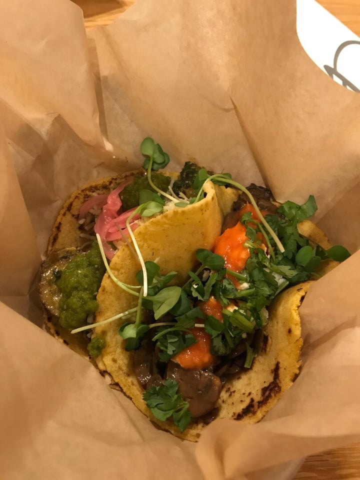 review photo of Chaia Creamy kale potato taco and mushroom taco shared by @chrispea on 20 Aug 2018 - review