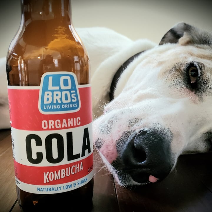 photo of Lo Bro's Living Drinks Organic Cola Kombucha shared by @itsjustmel on  16 Feb 2022 - review