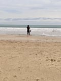 panambijournal @panambijournal profile image