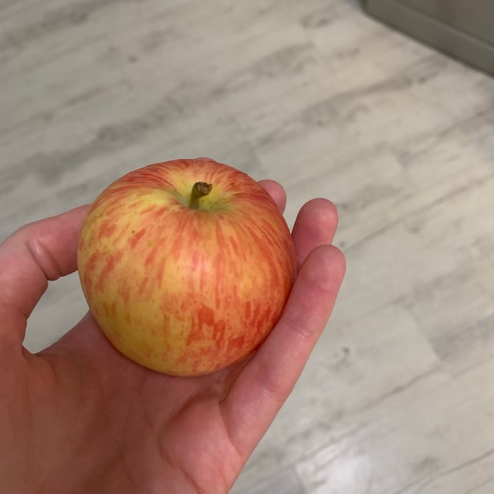 photo of Woolworths Food Blush apples shared by @bookelly8 on  30 Jan 2021 - review