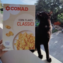 Cereali