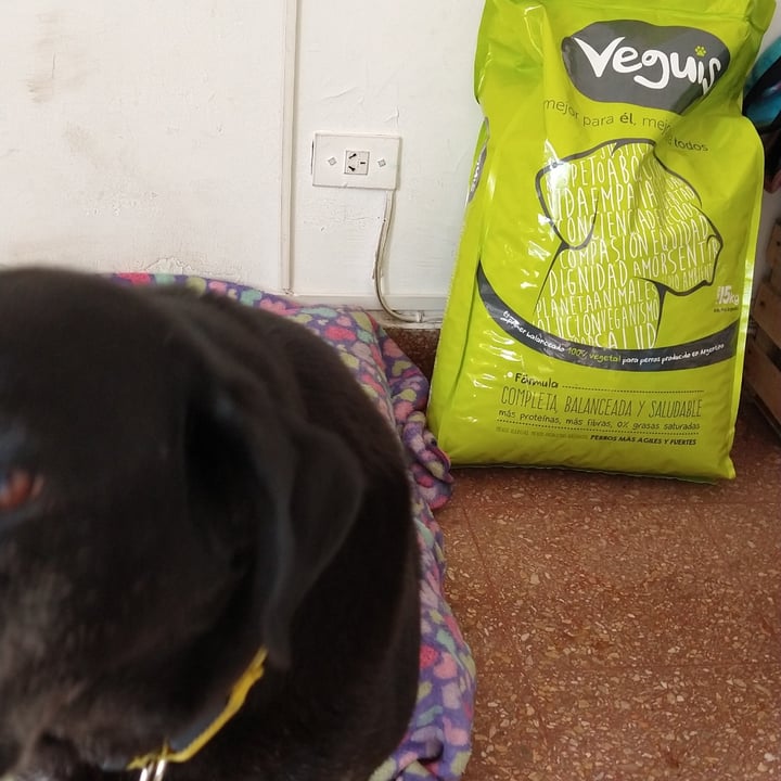 photo of Veguis Balanceado Completo Canino Adulto 15kgs shared by @xcuasidelictualx on  07 Sep 2020 - review
