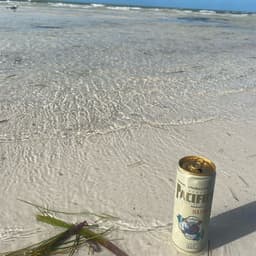 Pacifico Suave