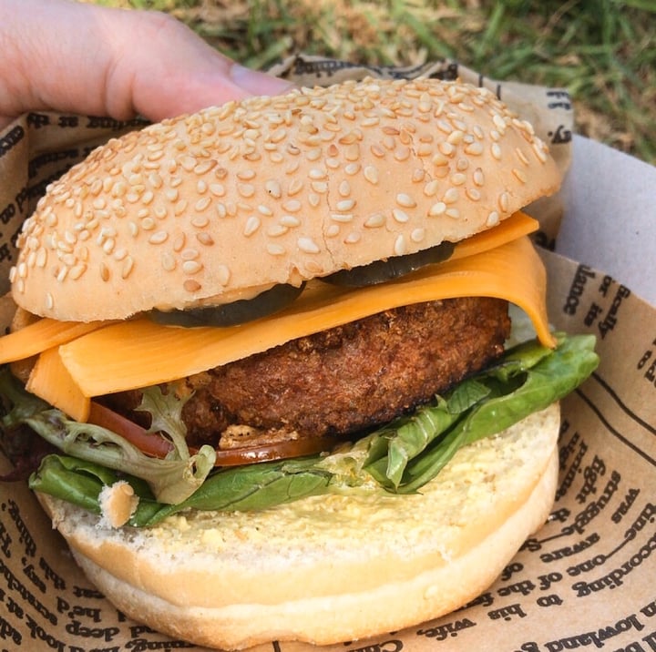 photo of Vegan Street Food ZA Beyond Burger shared by @capetownvegan on  03 Jan 2020 - review