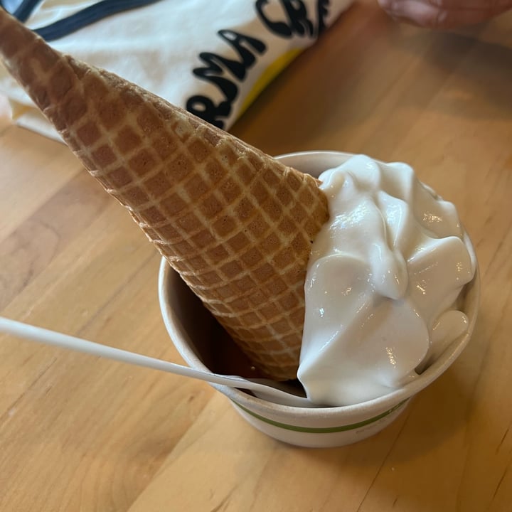 photo of Karma Cream Any of the ice cream flavors in vegan cooler side ! shared by @veganfta on  13 Jul 2022 - review