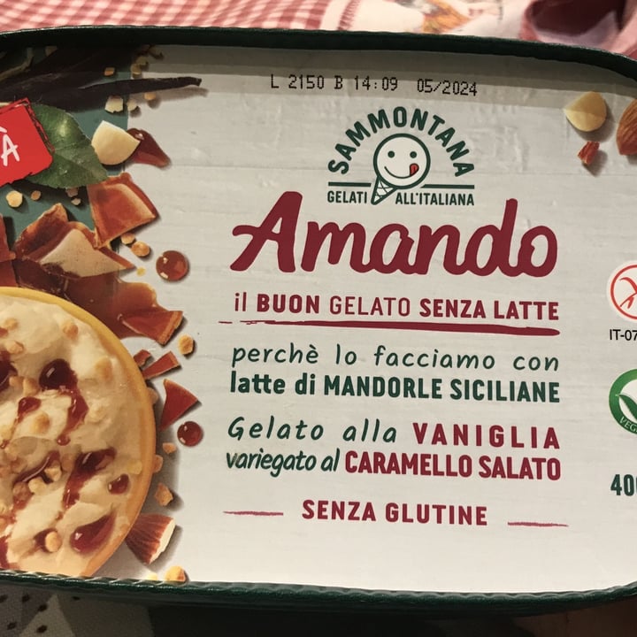 photo of Sammontana Amando Gelato Alla Vaniglia Vatiegato al Caramello Salato shared by @spice on  05 Jul 2022 - review