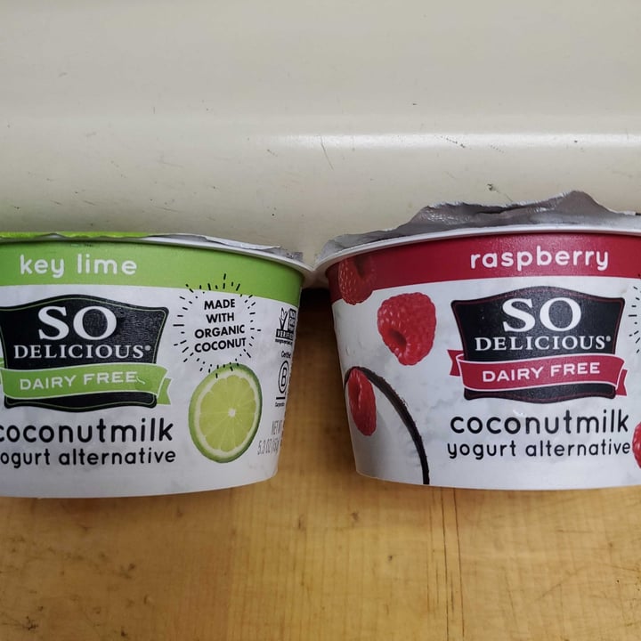 photo of So Delicious Dairy Free Raspberry Coconutmilk Yogurt Alternative shared by @msraems on  31 Jul 2020 - review