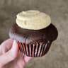 Molly's Cupcakes
