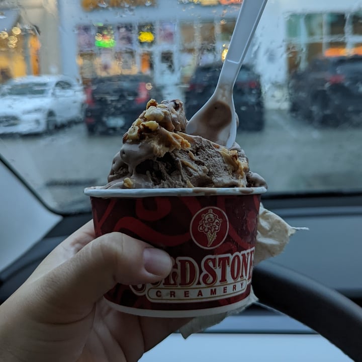 photo of Cold Stone Creamery Don't Cry Over Spilled Silk shared by @beachbummum on  19 Feb 2022 - review
