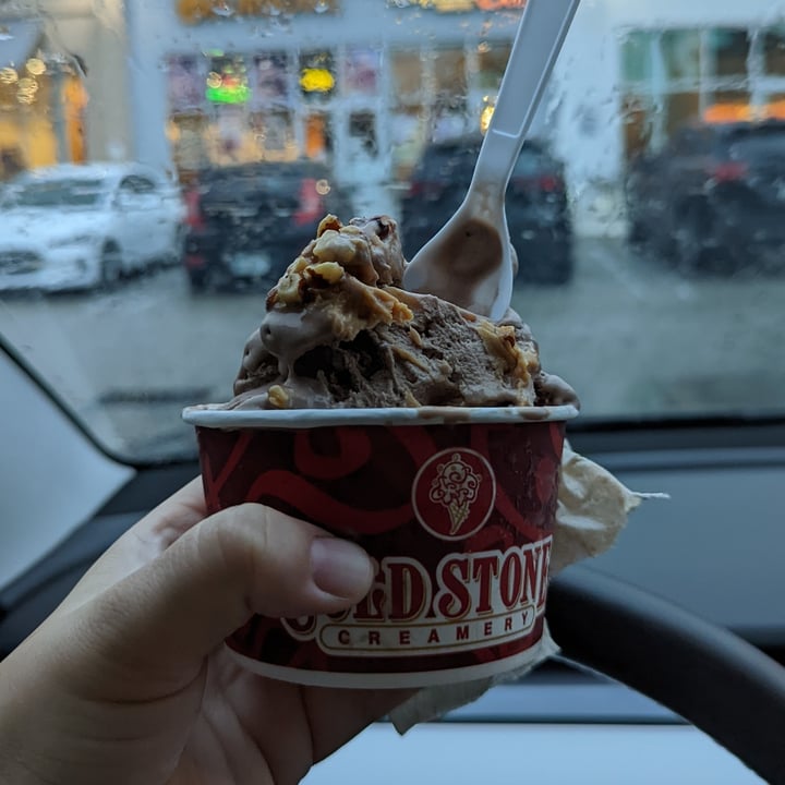 review photo of Cold Stone Creamery Don't Cry Over Spilled Silk shared by @beachbummum on 19 Feb 2022 - review