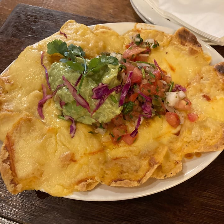 photo of The Fat Cactus Gardens Starter Nachos shared by @ctfloof on  15 Oct 2022 - review