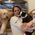 vanessafon @vanessafon profile image