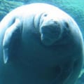 @wrenn profile image