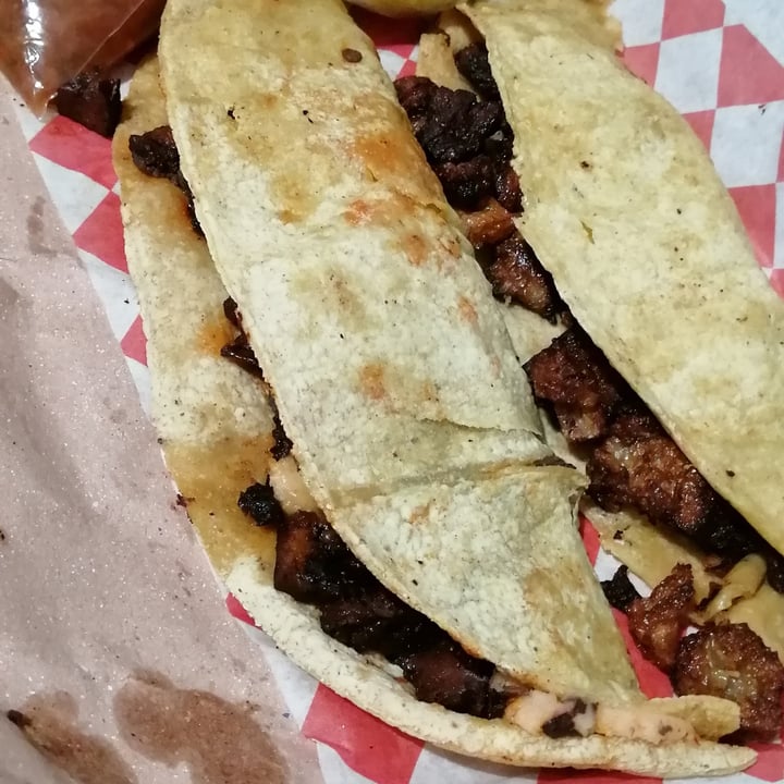 photo of Tacos Né Quesadilla shared by @nekokiwi on  29 Mar 2021 - review