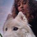 rosanucleare @rosanucleare profile image