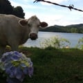 rakasignori @rakasignori profile image