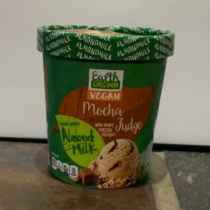 photo of Earth Grown Mocha Fudge Non-Dairy Frozen Dessert shared by @thedonmega70 on  06 Jun 2021 - review