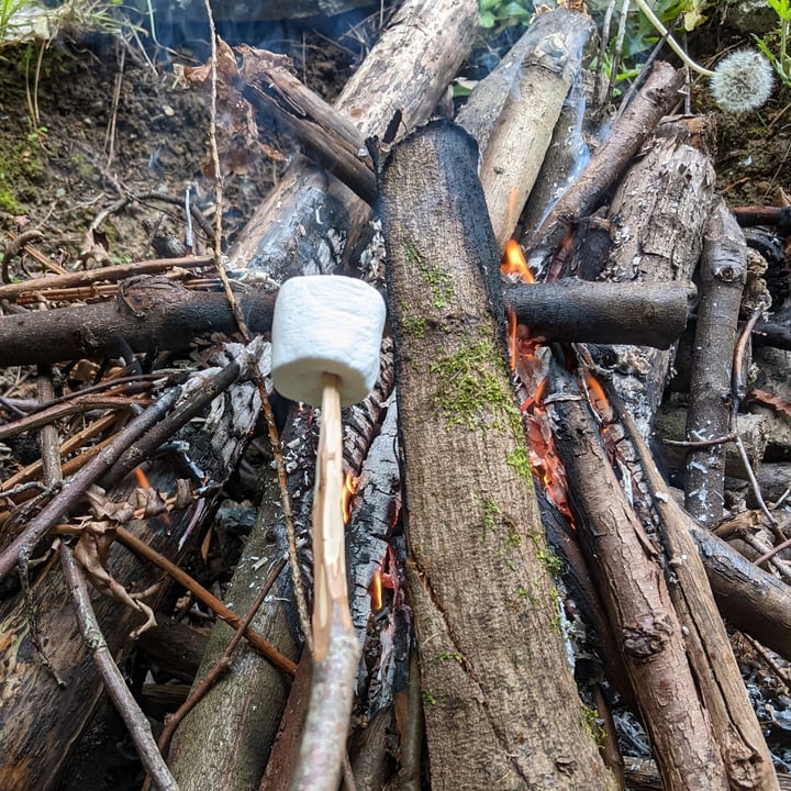 photo of Trader Joe's Marshmallows shared by @tina360 on  04 Jun 2022 - review