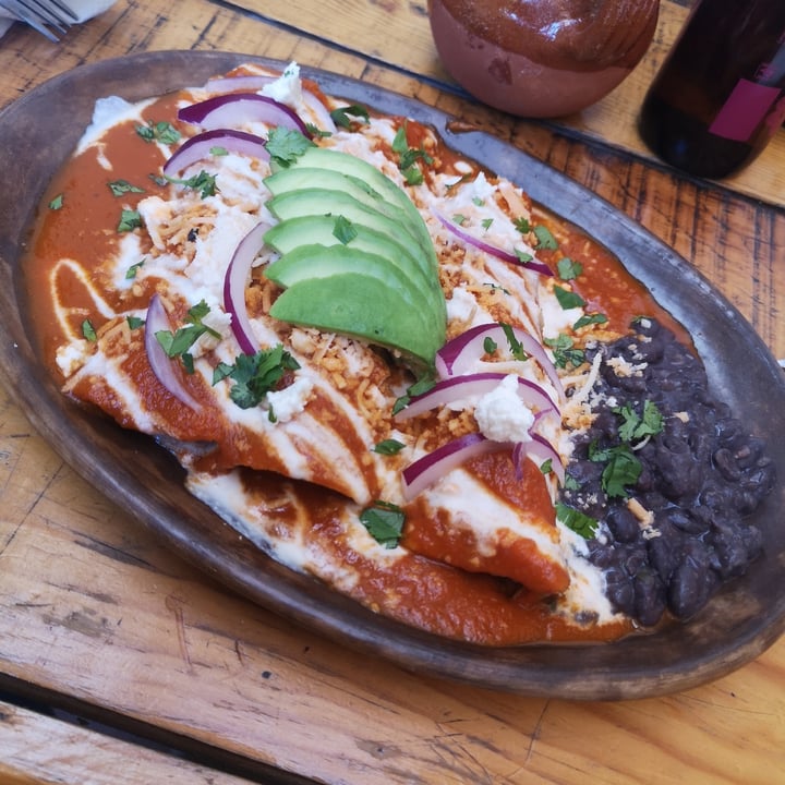 photo of LA COLMENA Enchiladas Suizas, Molletes, Jugo Verde Y Licuado De Chocolate shared by @arrieta286 on  12 Sep 2021 - review