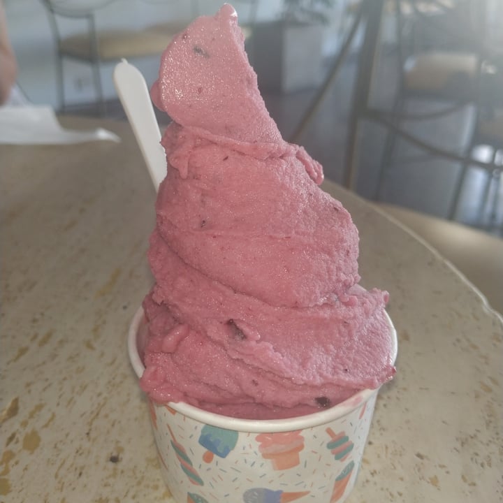 photo of Helados Tirol Helado De Frutos Del Bosque shared by @milikitruki on  03 Jan 2022 - review