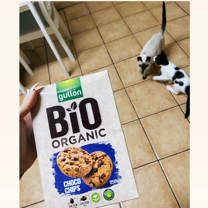photo of Gullón Bio organic Choco chips shared by @crisveganqueen on  18 Nov 2020 - review