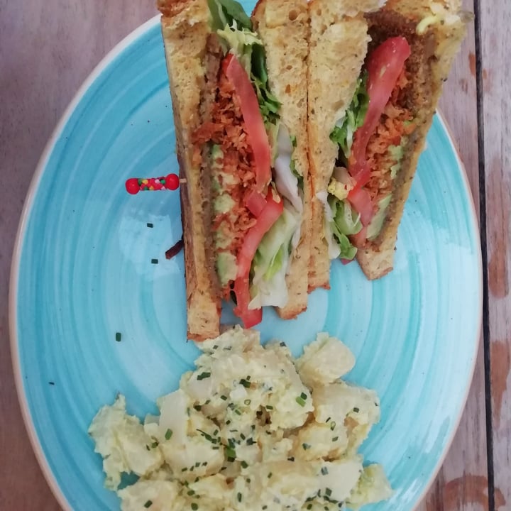photo of La Más Bonita Patacona Club sandwich especial shared by @beatriu on  22 Jun 2020 - review